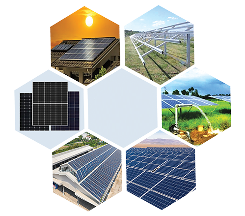 Portfolio Hero Image